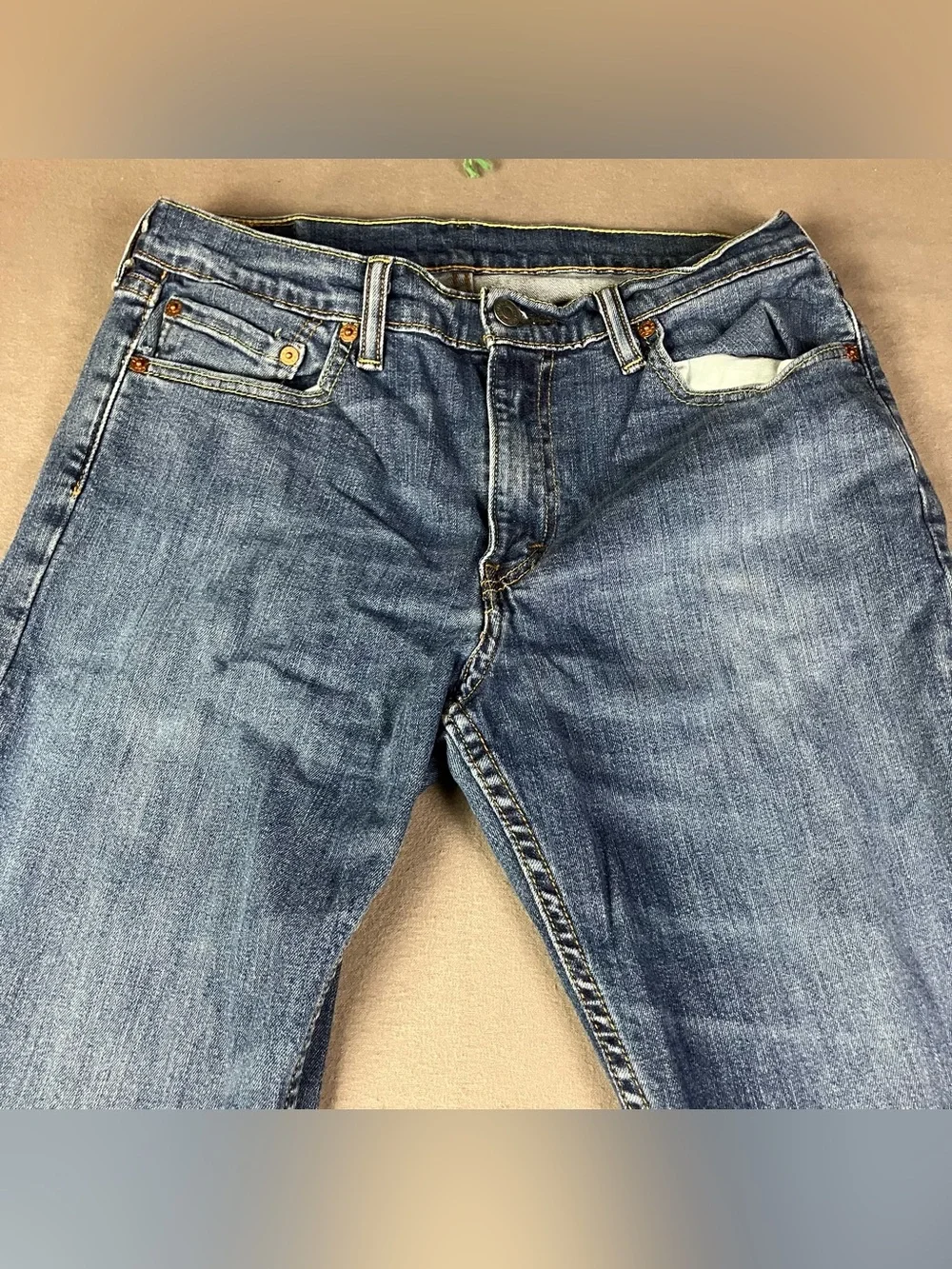 Levis levis 559